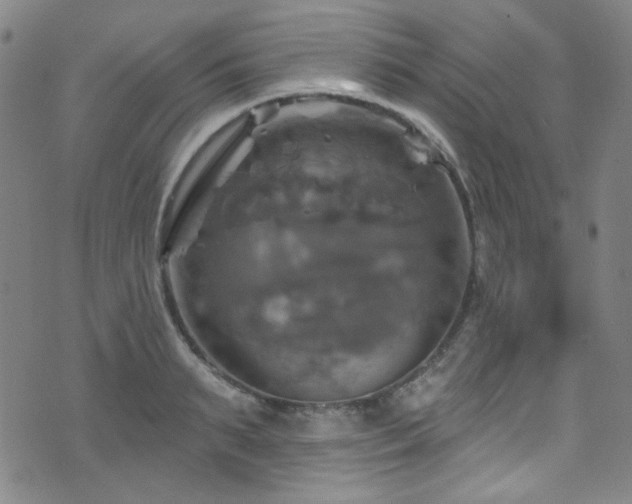 X0000075900895200609151408