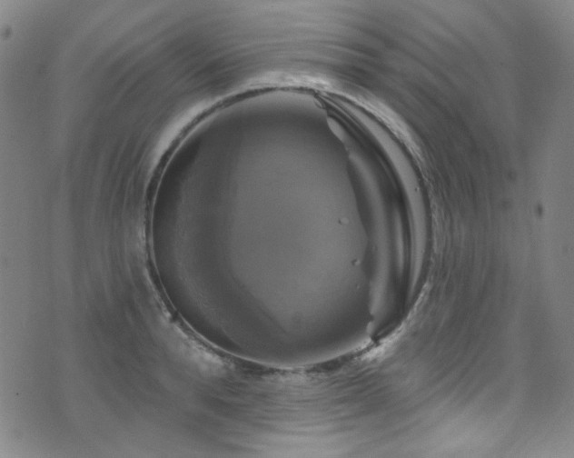 X0000075900896200609151408