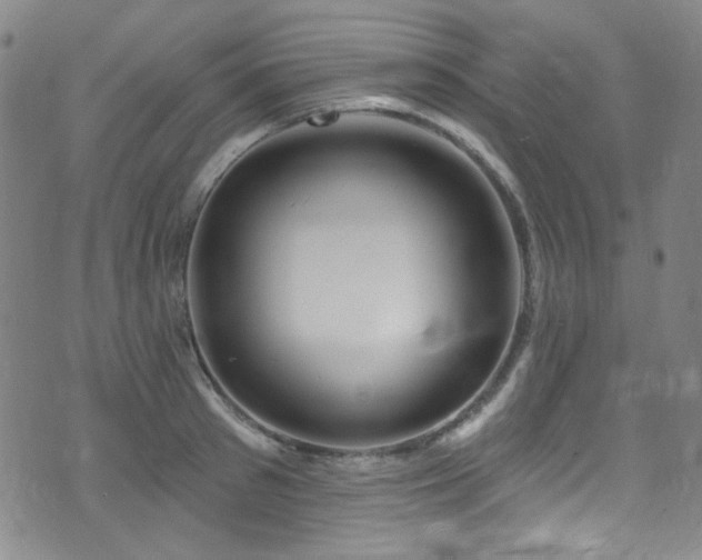 X0000075900897200609151408