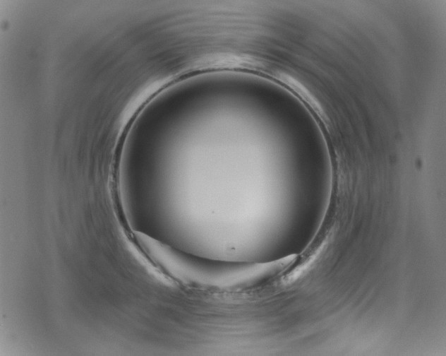 X0000075900901200609151408