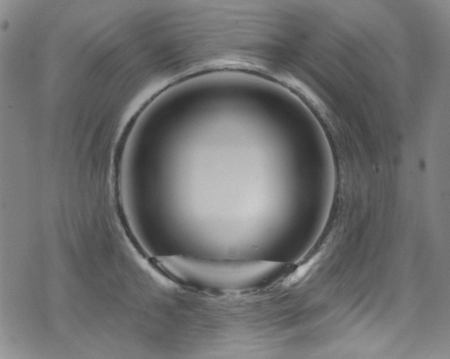 X0000075900902200609151408