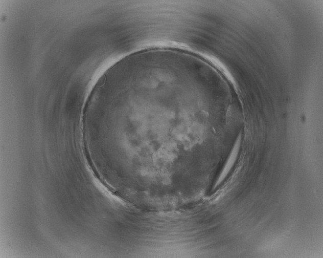 X0000075900903200609151408