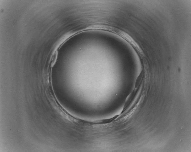 X0000075900908200609151408