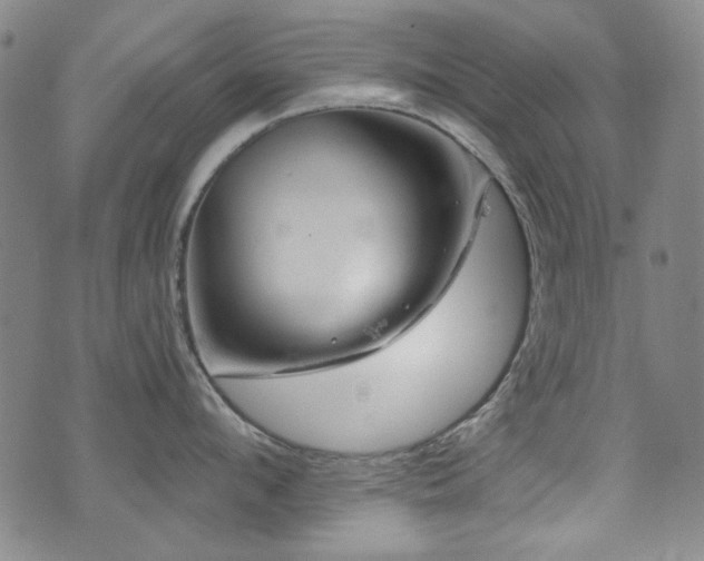 X0000075900912200609151408