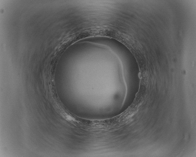 X0000075900913200609151407