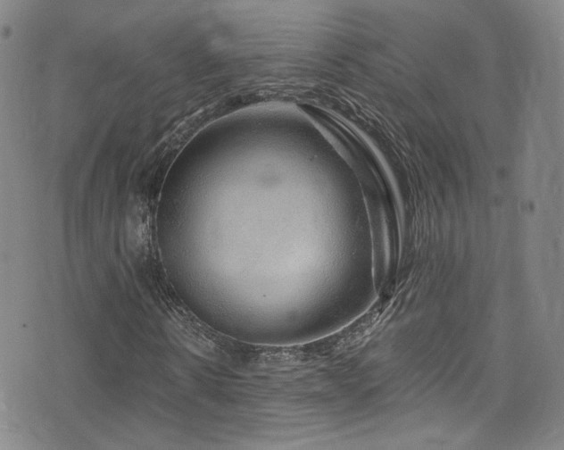 X0000075900914200609151407