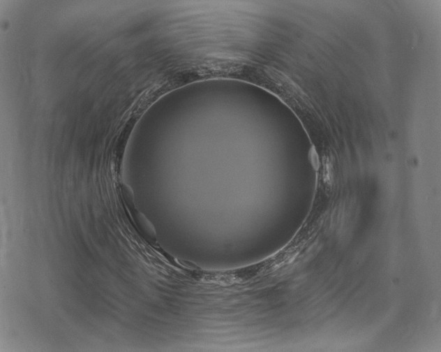 X0000075900915200609151407