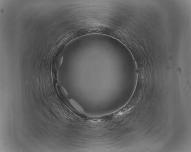 X0000075900916200609151407