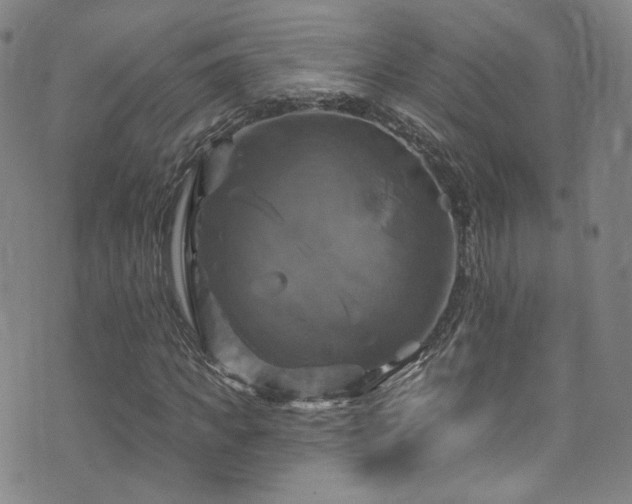 X0000075900917200609151407