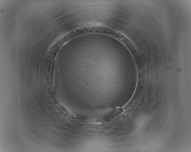 X0000075900919200609151407