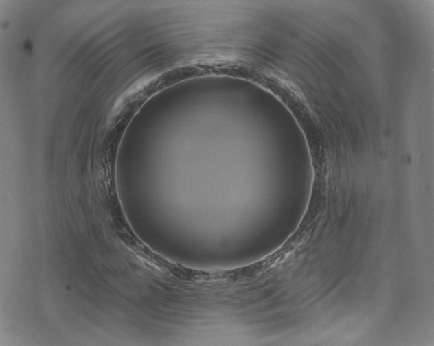 X0000075900920200609151407