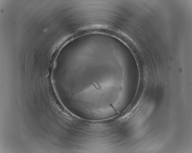 X0000075900921200609151407