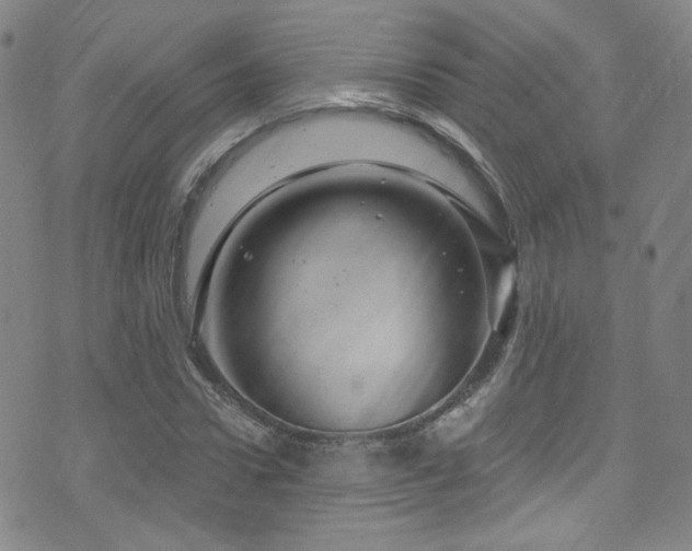 X0000075900922200609151407