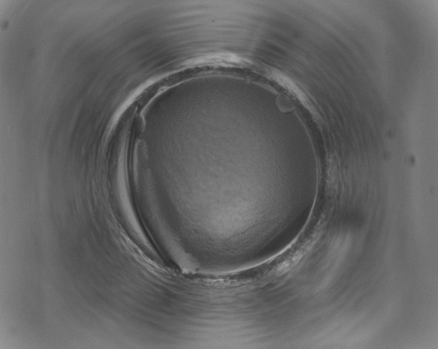 X0000075900923200609151407