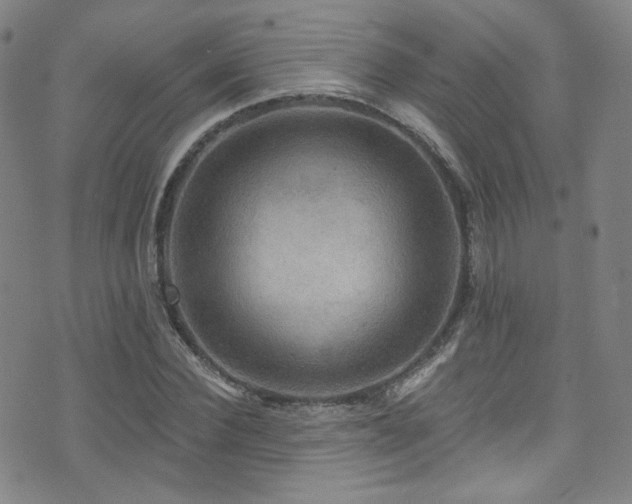 X0000075900924200609151407