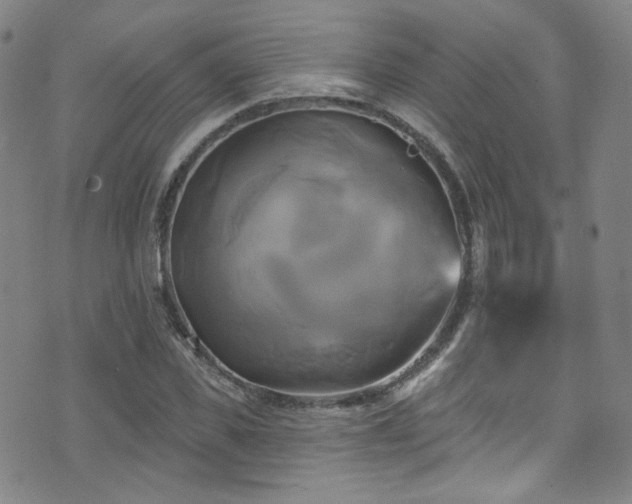 X0000075900925200609151407