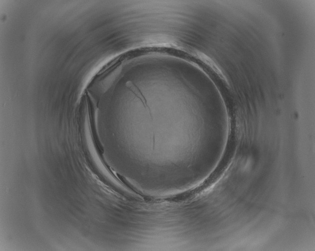 X0000075900926200609151407