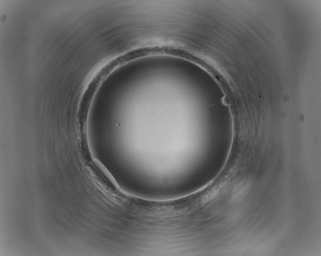 X0000075900927200609151407