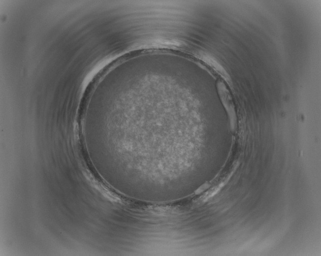 X0000075900928200609151407