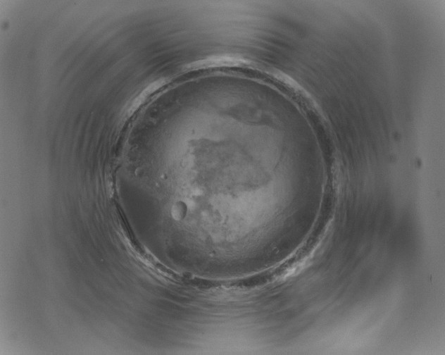 X0000075900929200609151407