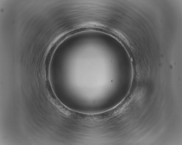 X0000075900931200609151408