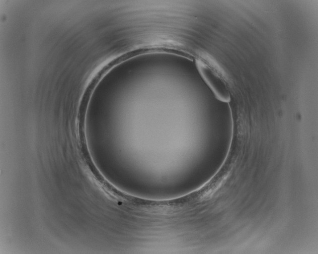 X0000075900932200609151408