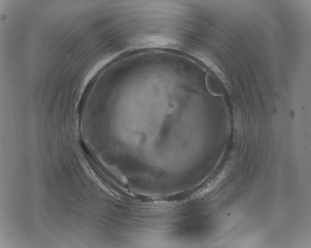 X0000075900933200609151408