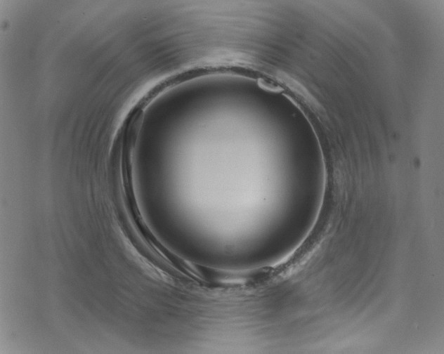 X0000075900934200609151408