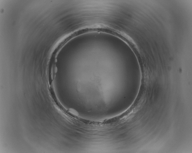 X0000075900935200609151408