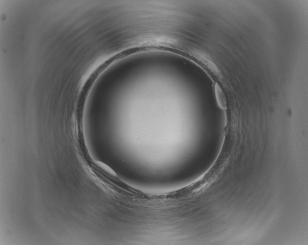 X0000075900936200609151408