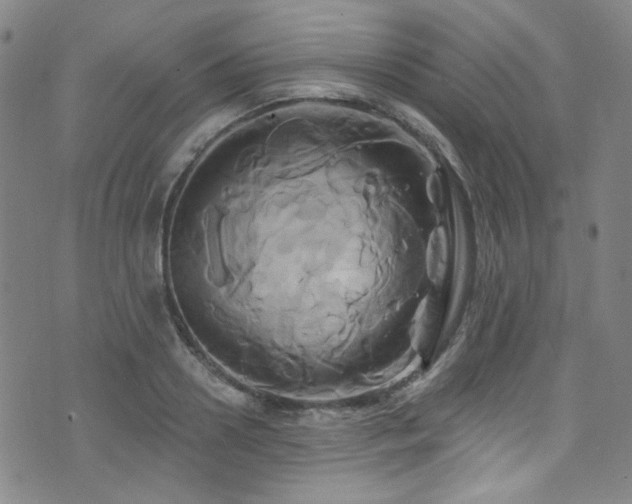 X0000075900938200609151408