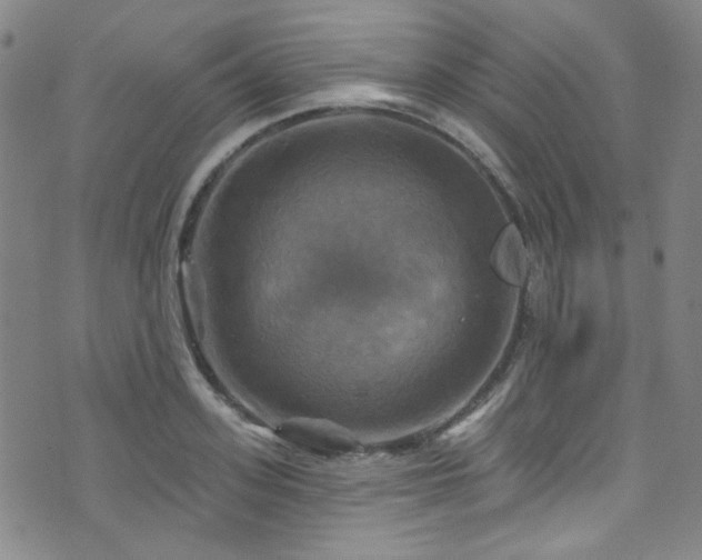 X0000075900939200609151408