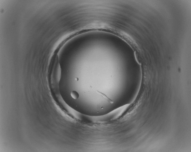 X0000075900942200609151408