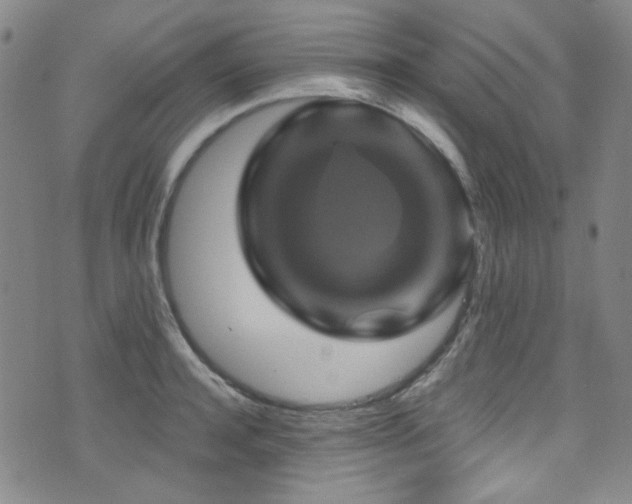 X0000075900944200609151408