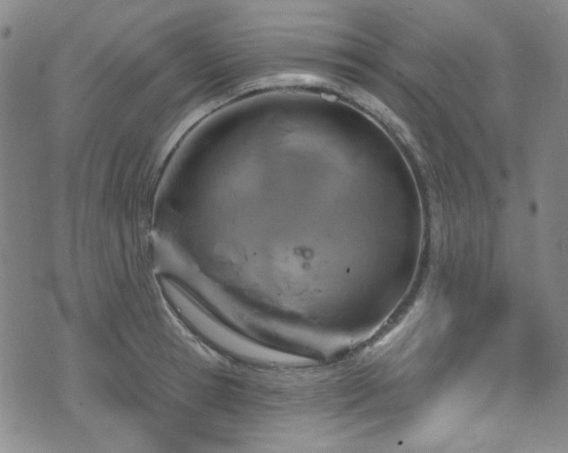 X0000075900945200609151408