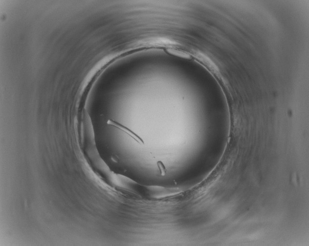 X0000075900947200609151408