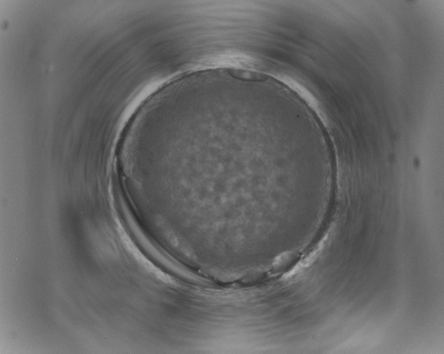 X0000075900949200609151408