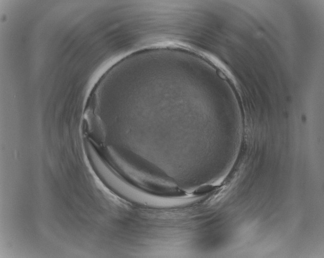 X0000075900951200609151408