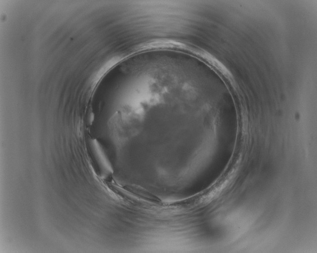 X0000075900953200609151408