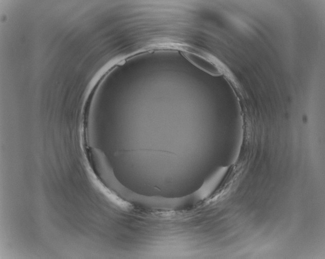 X0000075900955200609151408