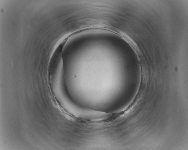 X0000075900956200609151408