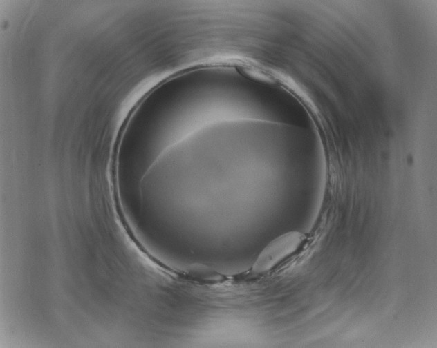 X0000075900959200609151408