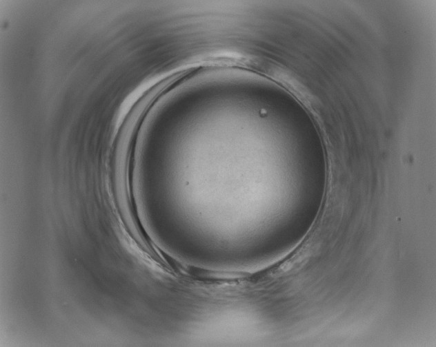 X0000075900960200609151408