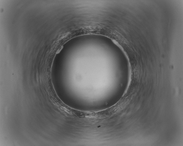 X0000075900961200609151407