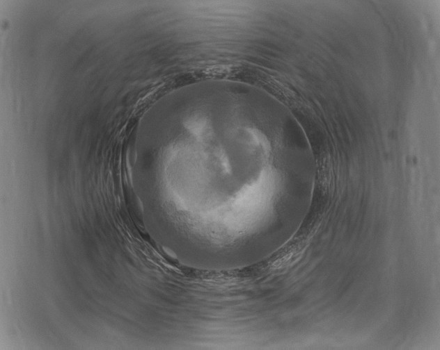 X0000075900962200609151407