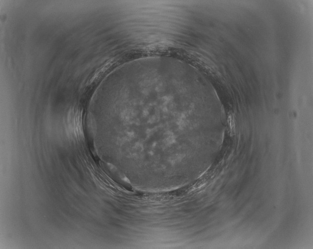 X0000075900963200609151407