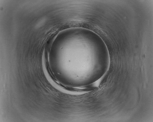 X0000075900964200609151407