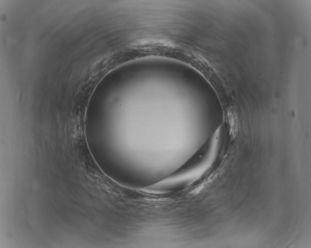 X0000075900965200609151407