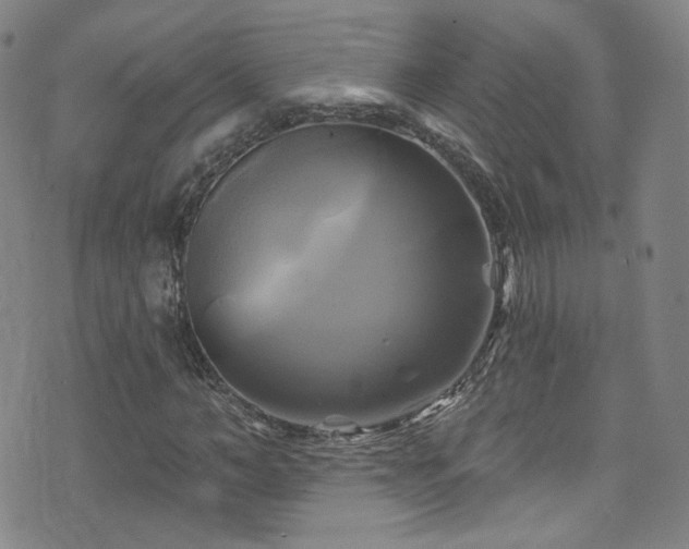 X0000075900966200609151407