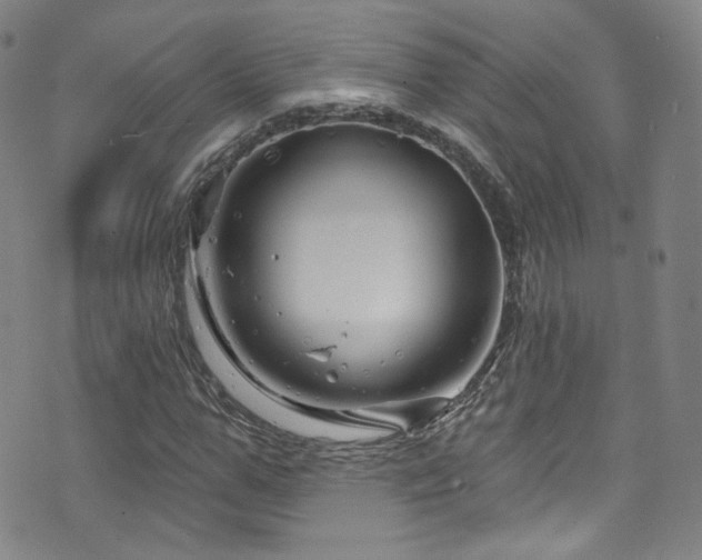 X0000075900967200609151407